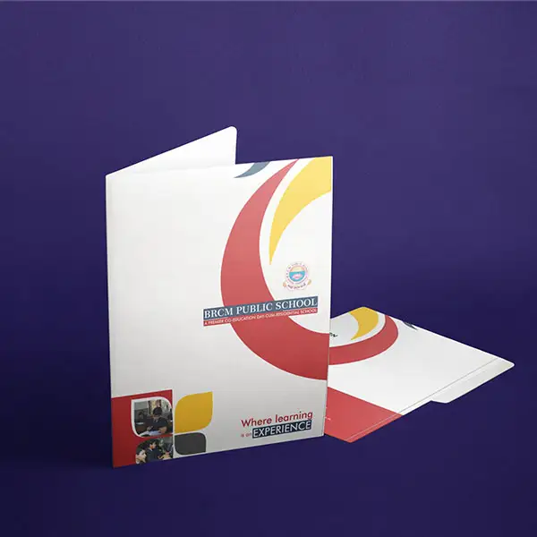 visual graphic designer delhi